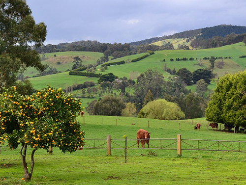 farm2_500x377px